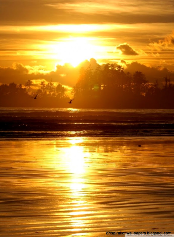 Beach Scene Sunrise HD desktop wallpaper  Widescreen  High