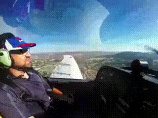 13.gif
