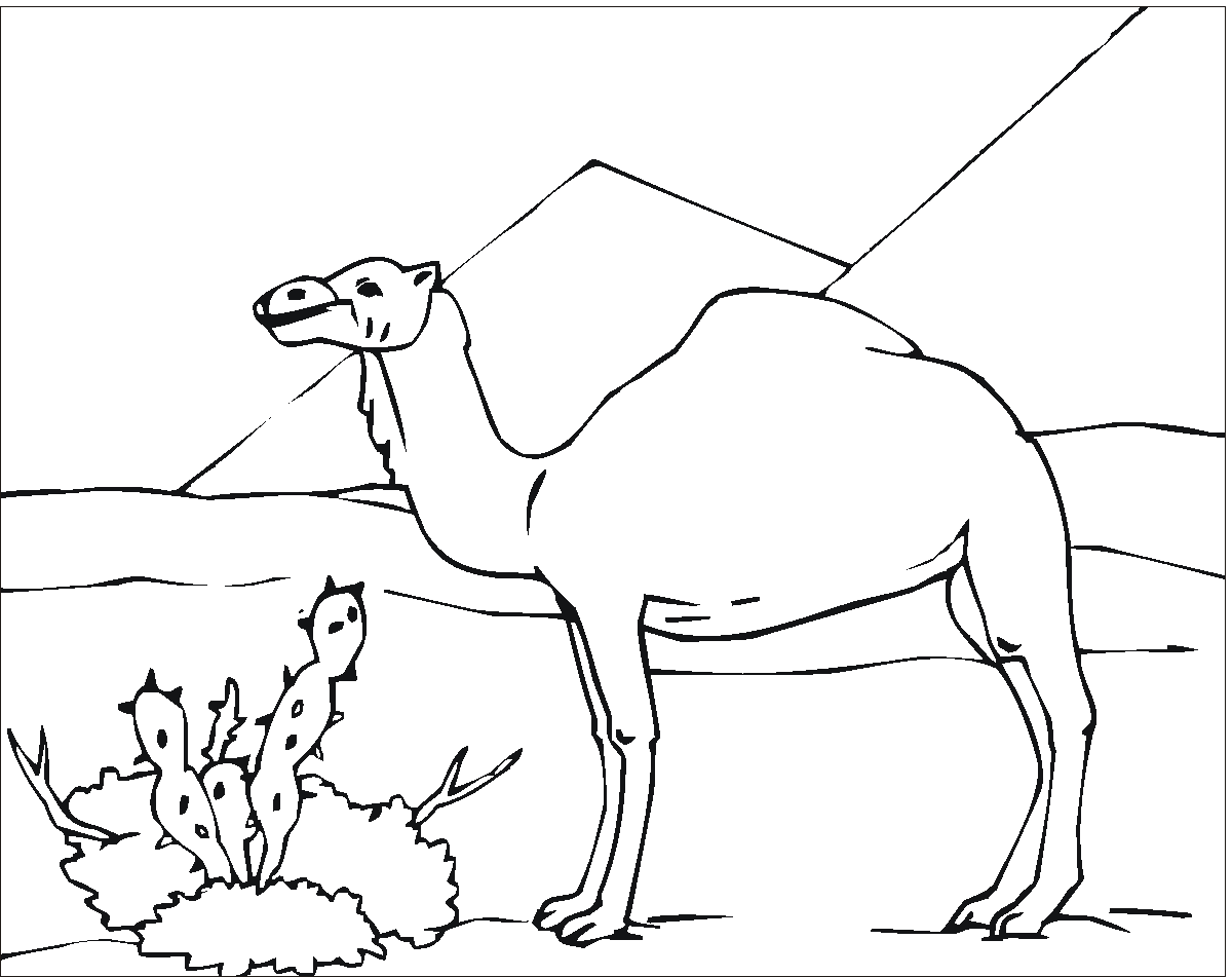Desenhos de pir mides para colorir