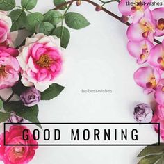 good morning images gif