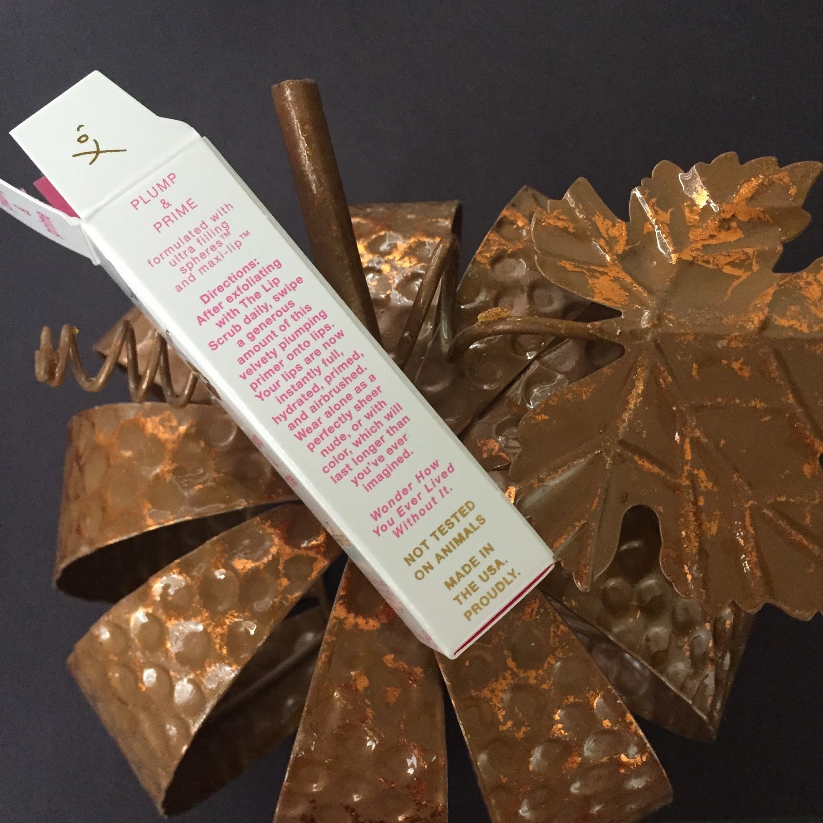 Sara Happ Limited Edition Pumpkin Spice Lip Scrub Kit Review and Video A Very Sweet Blog