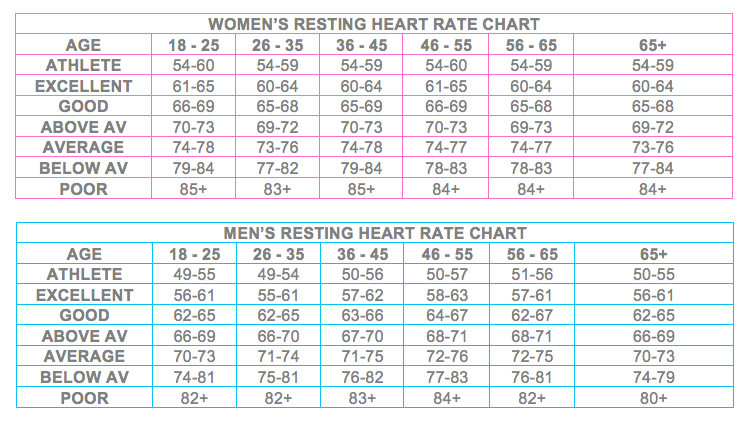 Average Adult Resting Heart Rate 103