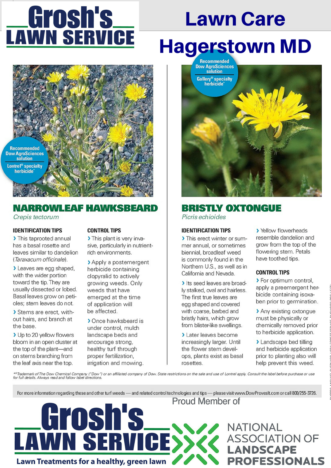 Groshs Lawn Service Lawn Care Weeds Treatment Williamsport MD