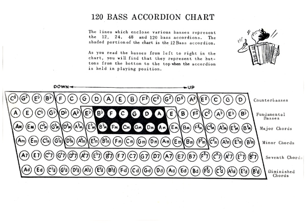 48 Bass Accordion Chart