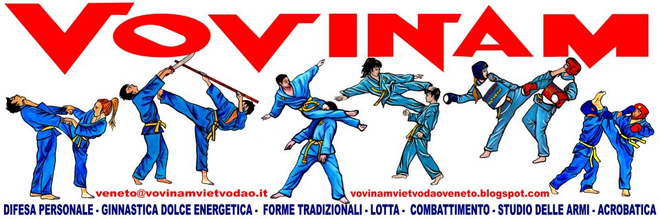 Vovinam Viet Vo Dao Veneto