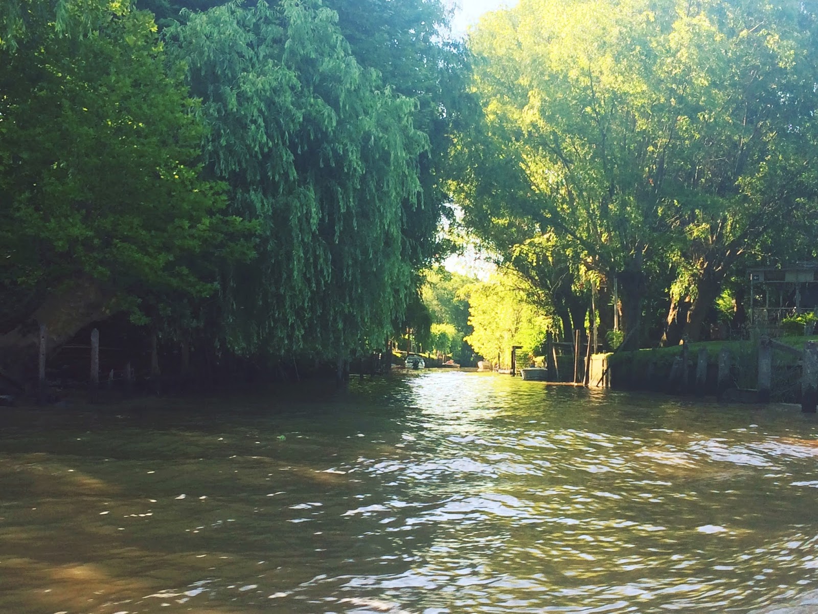 3 lugares imperdibles para conocer en Tigre - Loving Buenos Aires