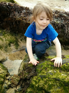 Exploring rock pools