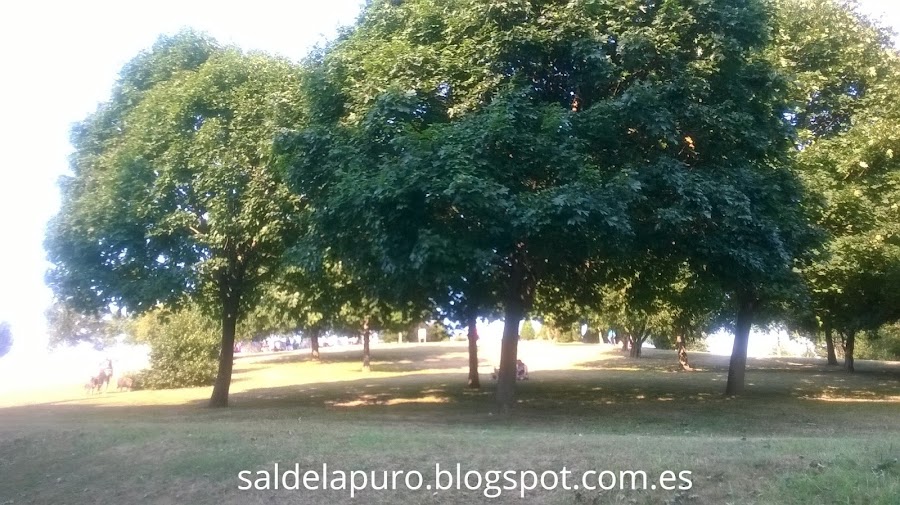parque-gijón