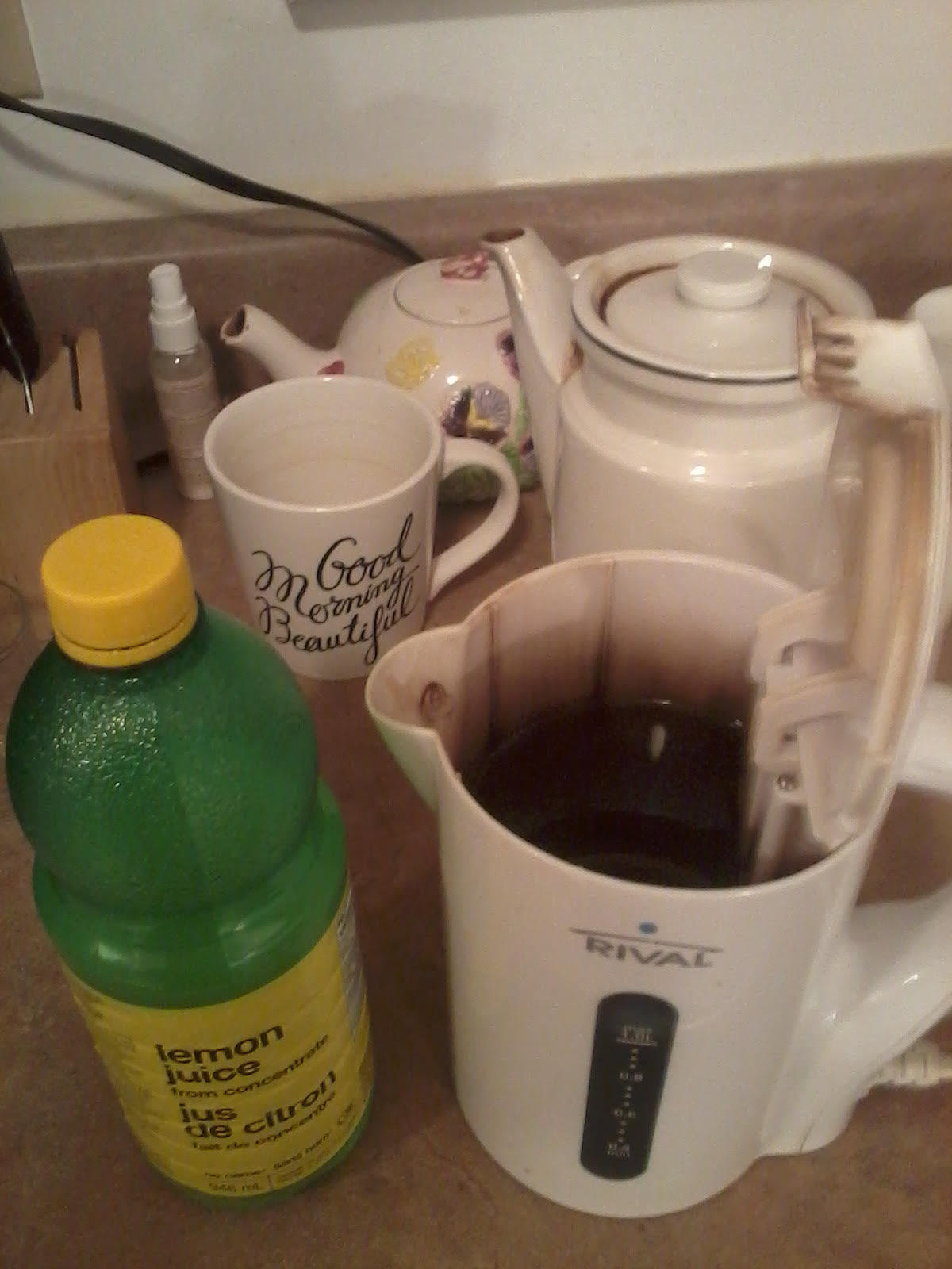 Build Your Own House, Body and Life! CleaningTips Talk About Calling