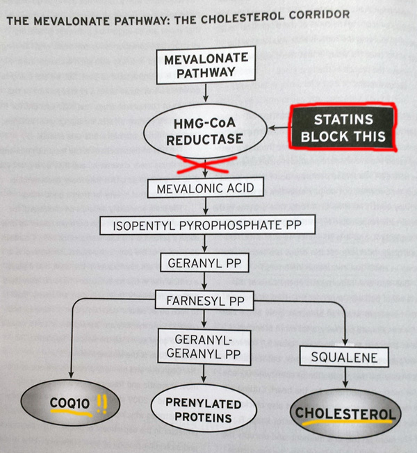 Del colesterol alto danos