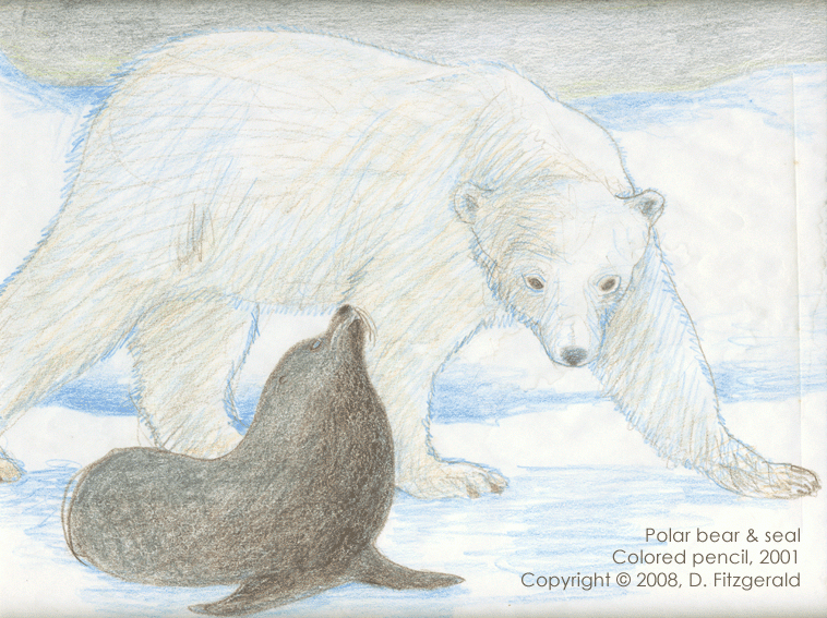 Polar bear & sea lion