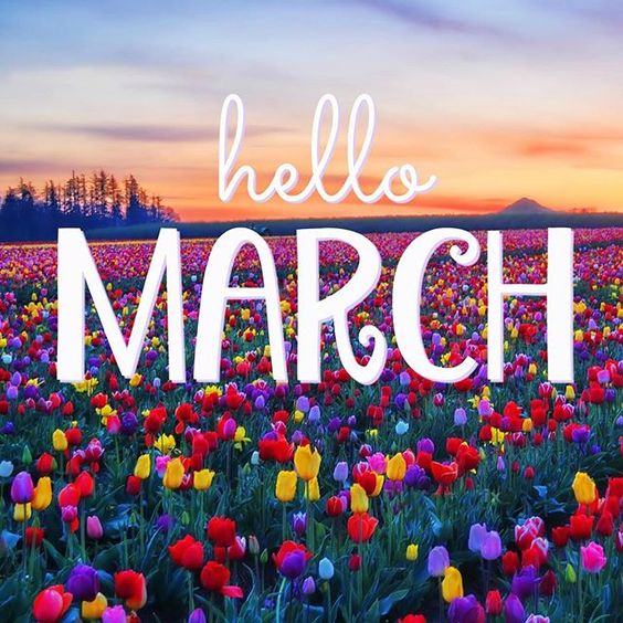 Forever Callahan: Hello there March Forever Callahan: Hello there March