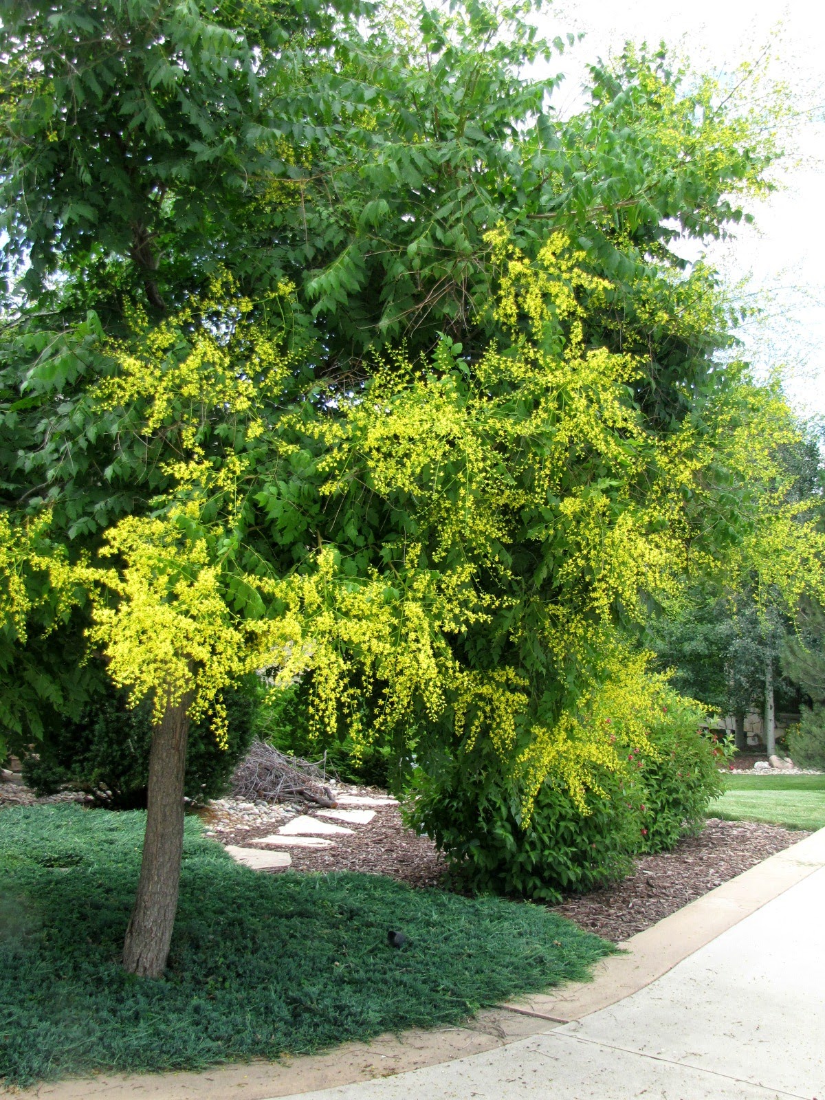 timeless reflections Busy as a Bee