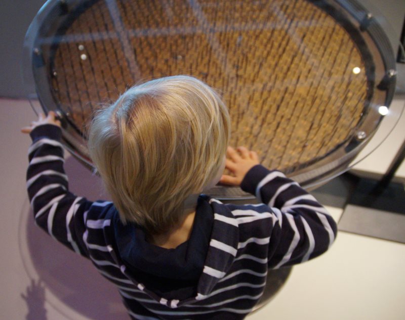 Waldkindergarten Eine Alternative Fur Dein Kind Bergblumengarten