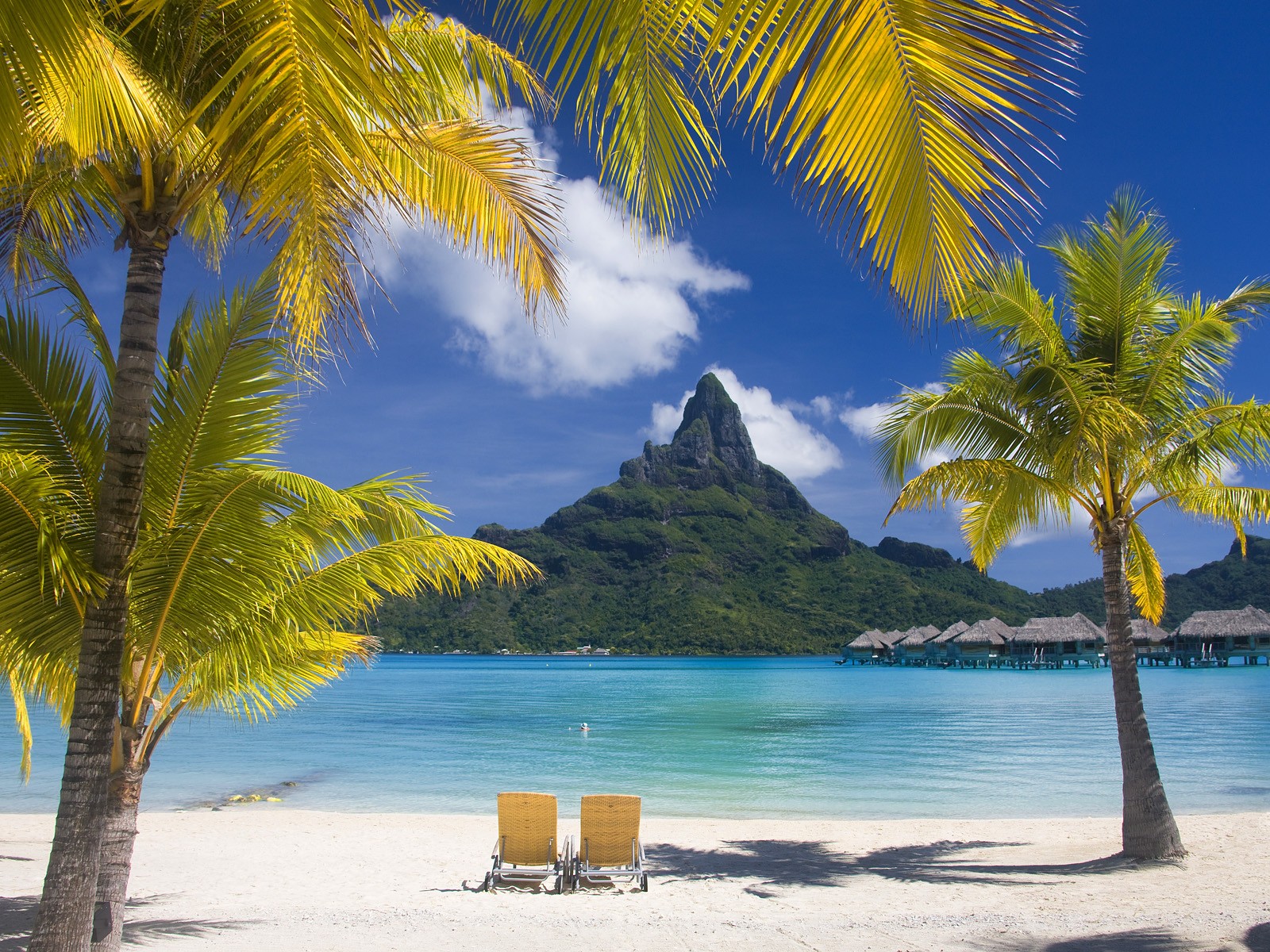 bora+bora.jpg