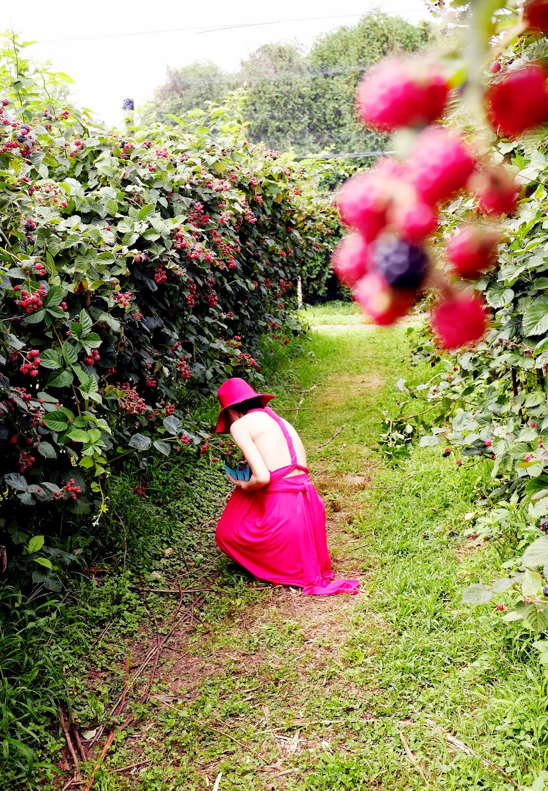 Stylecurated STYLE SNAPS FRESH FRUIT + FASHION