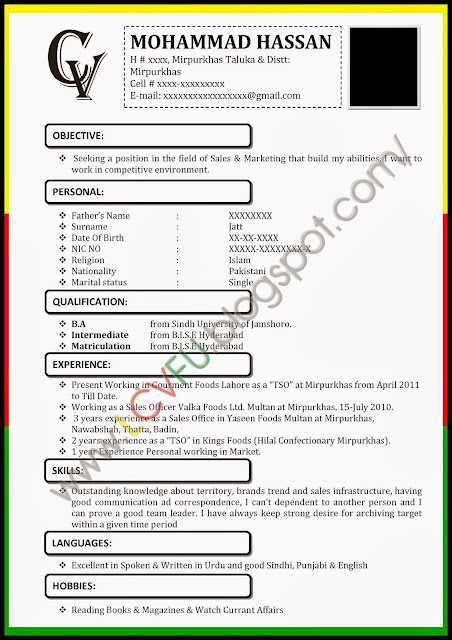 biodata new format