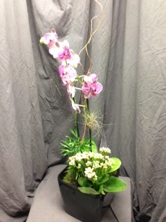 office flower arrangement rotation program;Toshiba Corporation;