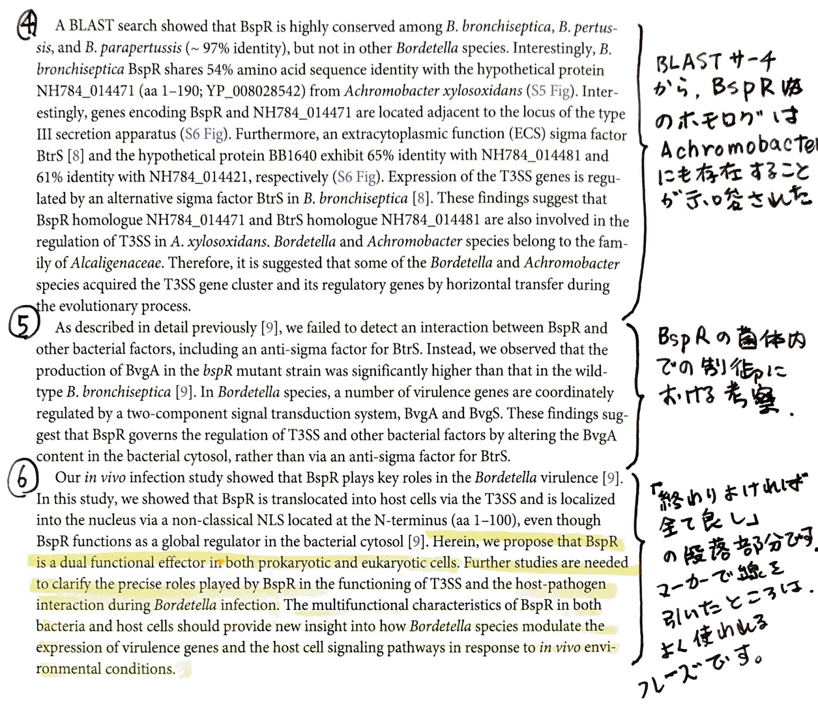 初めて英語論文を書く若手研究者へのアドバイス (その6) ディスカッション編LAB. and PEACE 初めて英語論文を書く若手研究者へのアドバイス (その6) ディスカッション編LAB. and PEACE