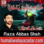 http://www.humaliwalayazadar.com/2012/11/raza-abbas-shah-nohay-2001-2013.html