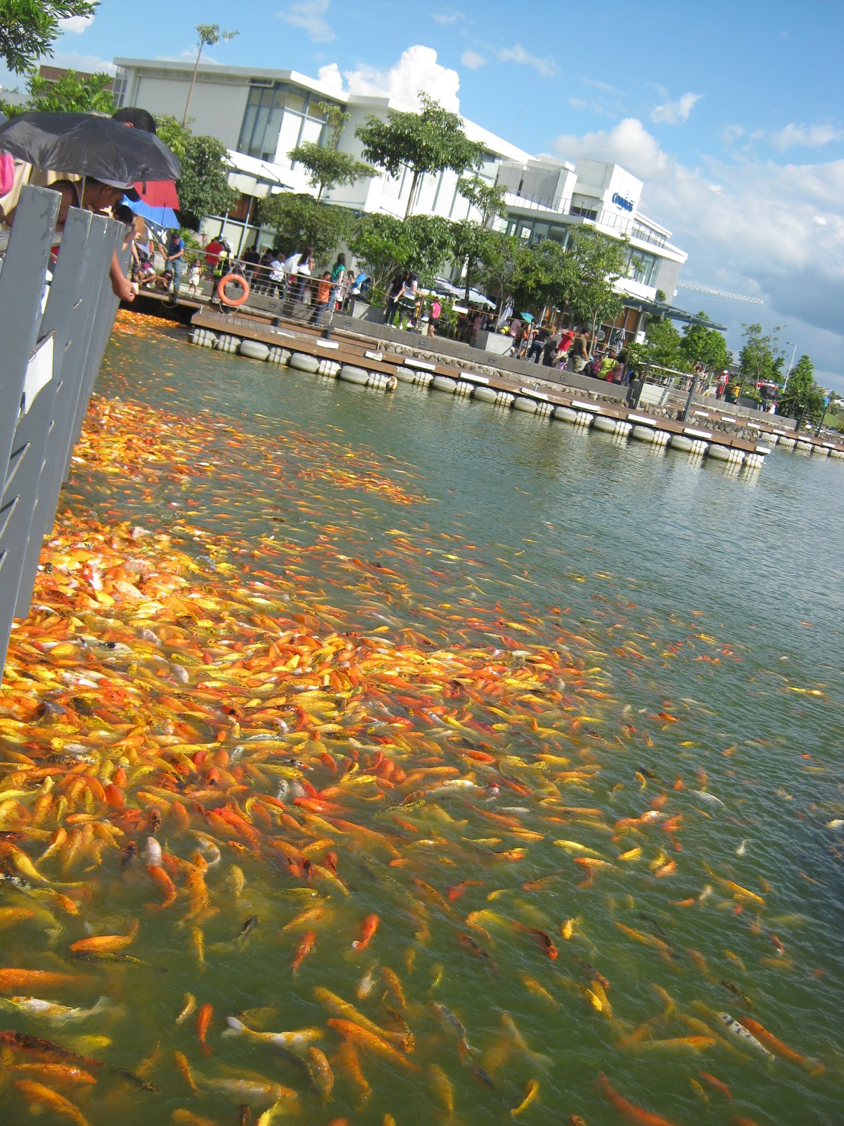 Philippines 21st Century Parks Nuvali Park