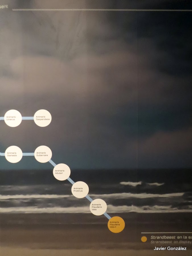 Espacio Telefónica. Fundación Teléfónica