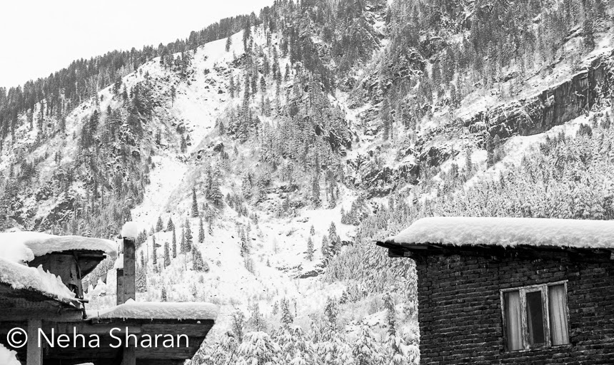 Recently Neha visited Manali, when seasons first snowfall happened. This Photo Journey shares some of the beautiful photographs of Manali town with white sheet all around. Manali town looks beautiful after fresh snowfall and that's when one can enjoy the snow in best way. Fresh snowfall makes a place beautiful and after a while the same snow creates mess, if not handled properly. Whenever Kullu valley gets snowfall, many of the tourists from Delhi, Chandigarh and various parts of Haryana/Punjab start moving towards Manali. Above photograph looks so poetic. Beas river surrounded by snow covered landscapes having symmetrical trees as a background.Usually tourists visit Rohtang Pass to see snow which is usually not that fresh. Fresh snow is always very special. It's fluffy texture makes it special. As it gets old, some part of the snow starts melting and it starts becoming ice which is hard. And after few days, dust starts settling down on this snow and it looks horrible. If you have ever visited Rohtang, you know what I am talking about.   Ten years back snowfall pattern was quite predictable and most of the times, snow used to happen in the month of december. Most of the tourists used to prefer Shimla  and Manali for Christmas or New Year vacations. For last few years, this pattern was broken and hills were getting first snowfall in January or February. Many of the folks associated with Tourism must be very happy this year. Snowfall  in the month of december is definitely a good indicator for a profitable tourist season.Hills around Manali look amazing after snowfall. But at the same time, it restrict you to move around. Most of the basic facilities get disrupted and connecting roads gets blocked. It becomes difficult to go to some of the interesting places like Naggar Castle, Solang Nala, Marhi, Rohtang, Manikaran, Kasol Malana etc. Snowfall in these hill stations is definitely very exciting for tourists, but for local folks it's a temporary fun and suddenly many of the facilities stop working for next few weeks. Electricity cuts become normal and imagine living around snow without electricity. Although folks have figured out right ways to deal with these situations but still not having electricity and water for 6 days is big deal.Thanks Neha for sharing these beautiful photographs from Manali.