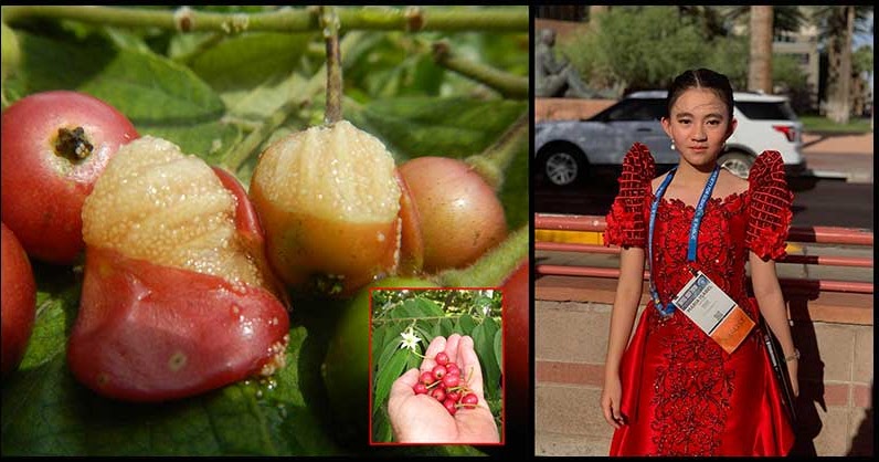 Maria isabel layson research paper 06 image