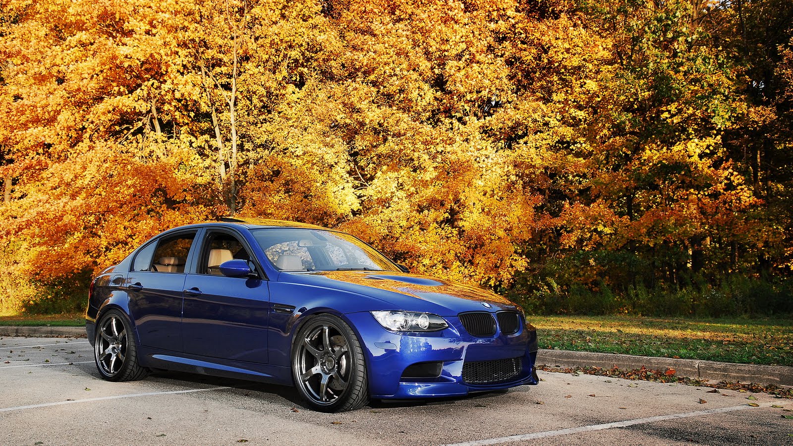 Bmw 3 цвета