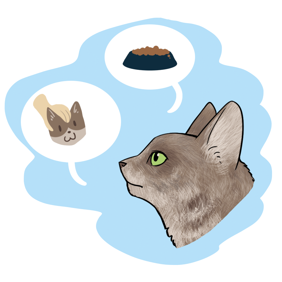 Подбери кота. Подбери кота