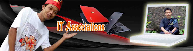 IT associations