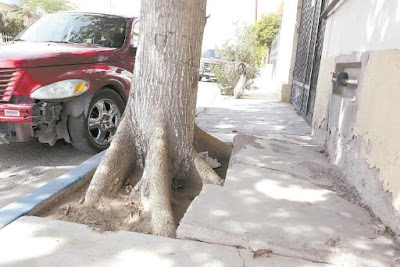 Localizan a mama del bebe que fue abandonado en la jardinera de colonia Jesus Garcia