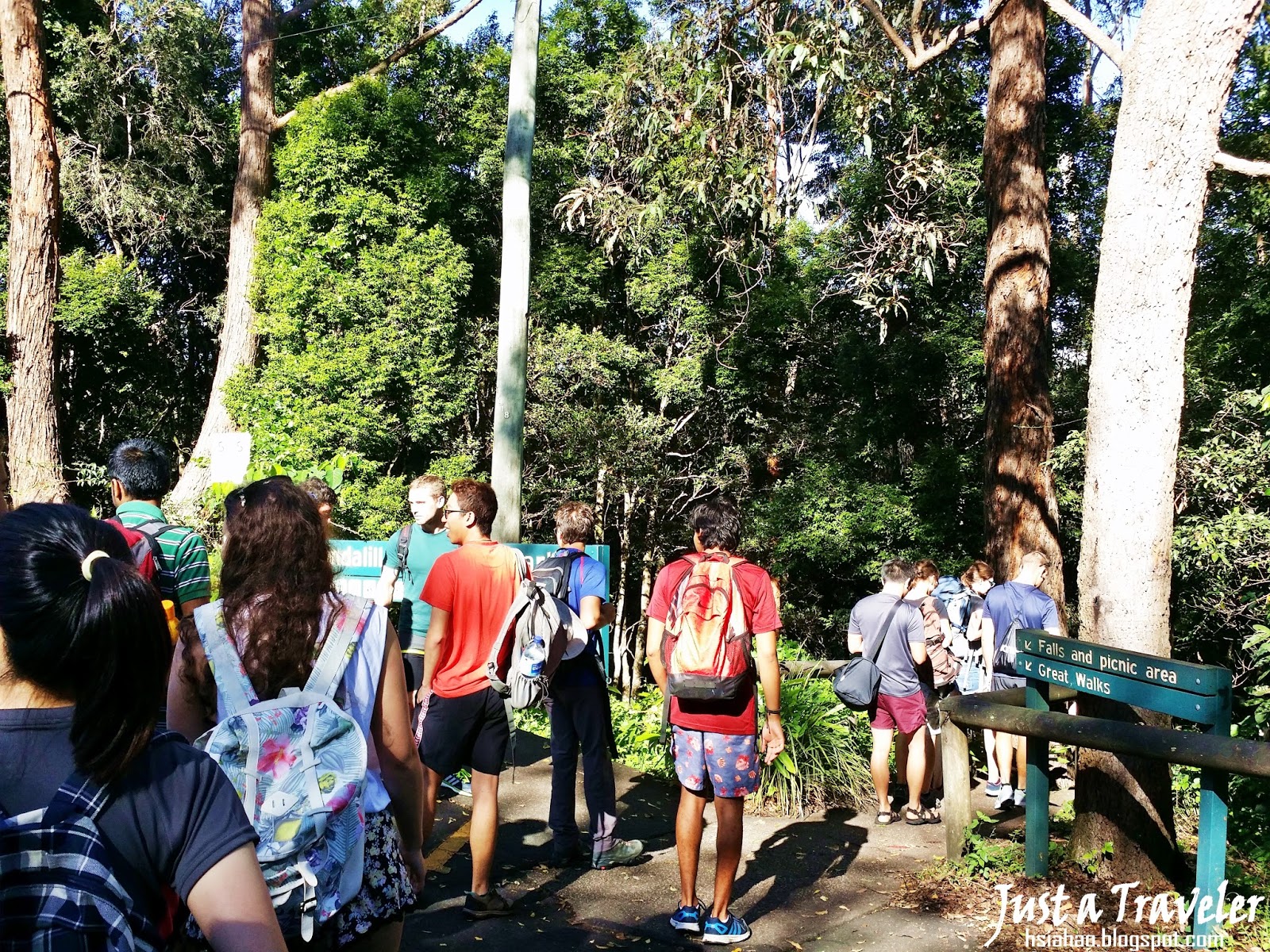 布里斯本-國家公園-登山-爬山-Kondalilla-National-Park-Brisbane