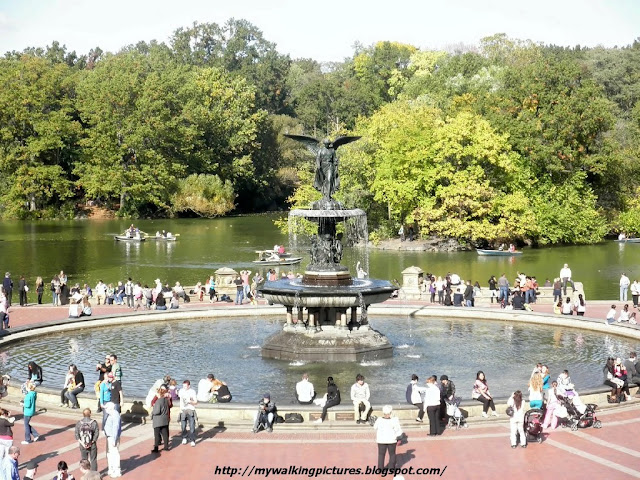My Walking Pictures: Autumn in Central Park