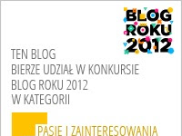 Blog Roku 2012 – gdanskpoludnie.pl w VIII-ej edycji konkursu - Czytaj więcej »