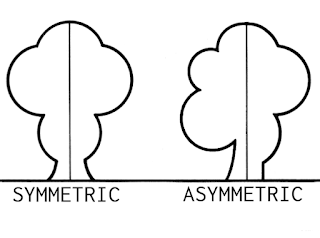 Illustration of symmetry versus asymmetry