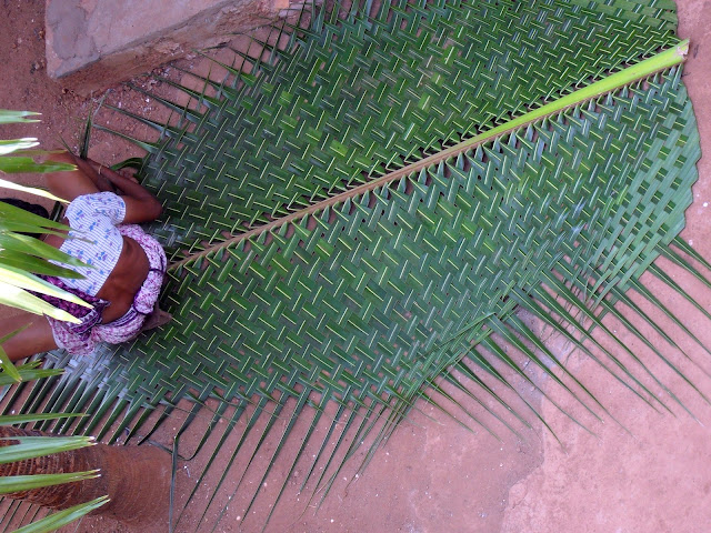 Изготовление циновки из листов кокосовой пальмы