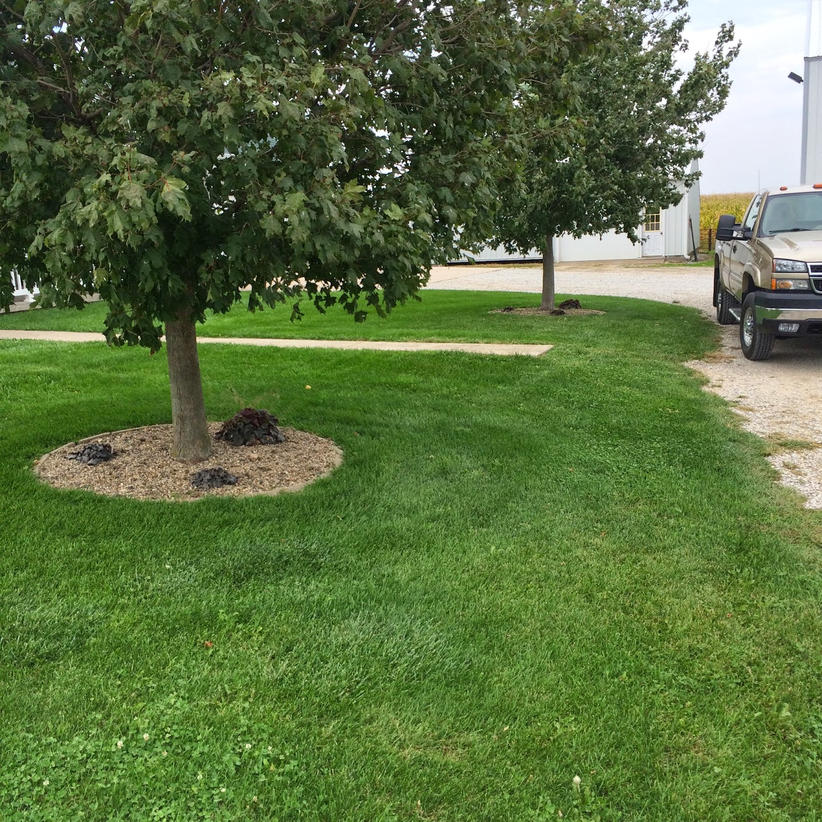Landscaping In Quad Cities (563) 3405709 Landscaping in McCausland, Iowa