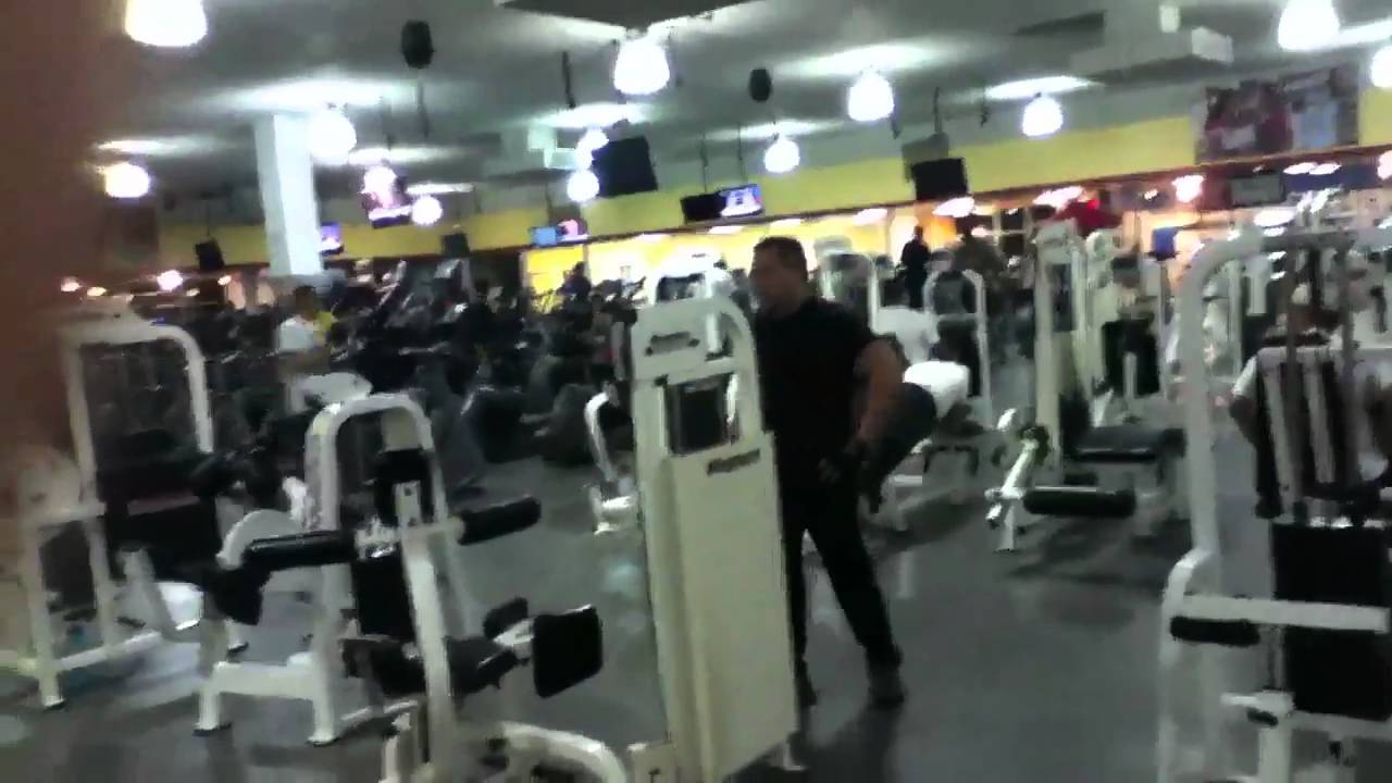 bally total fitness waist trainer