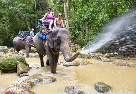 Сафари на слонах на острове Самуи Тайланд