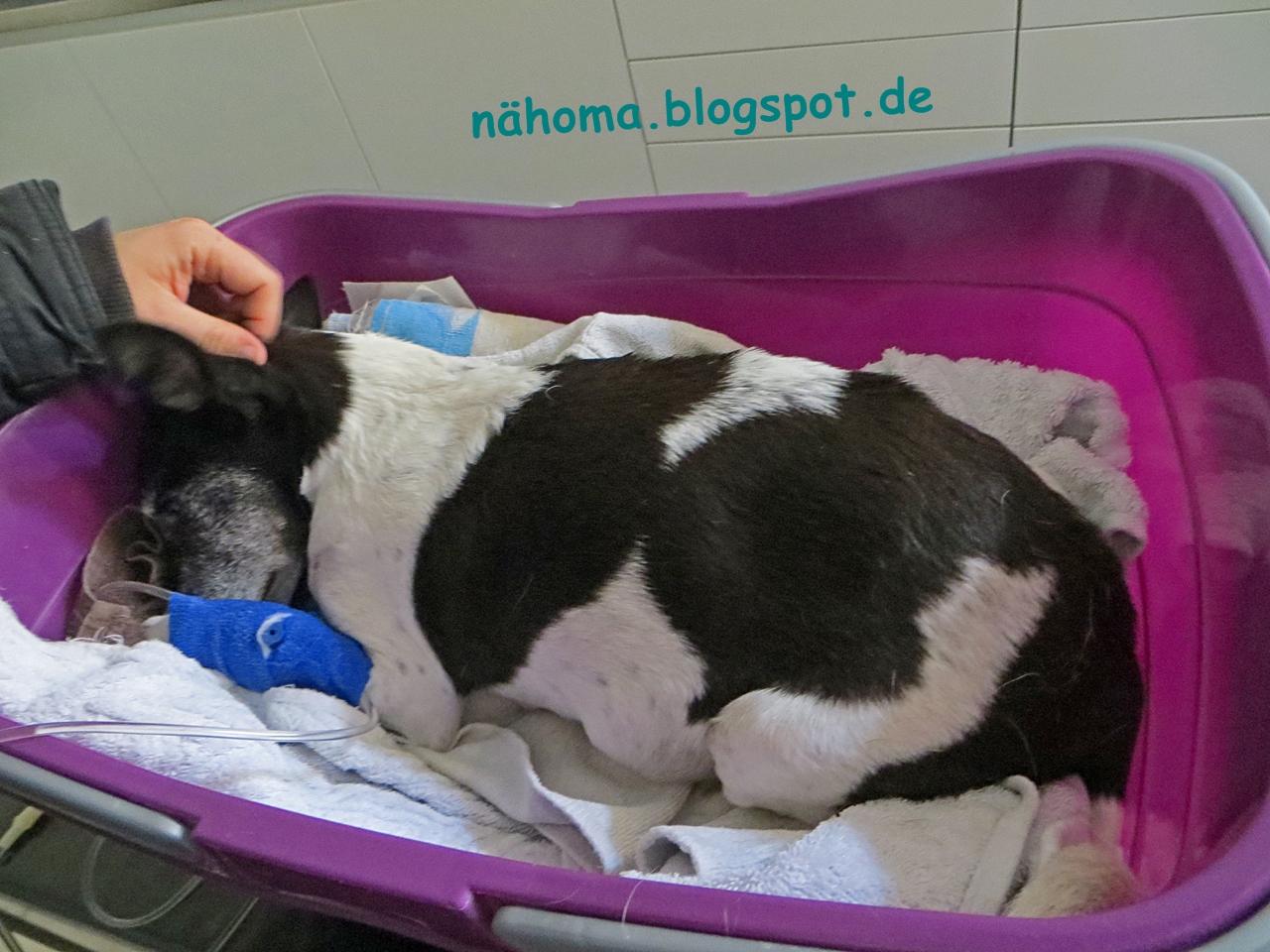 Oma Macht Das Schon Gute Reise Meine Kleine Maus