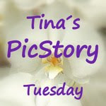 Tina's pictory Tuesday