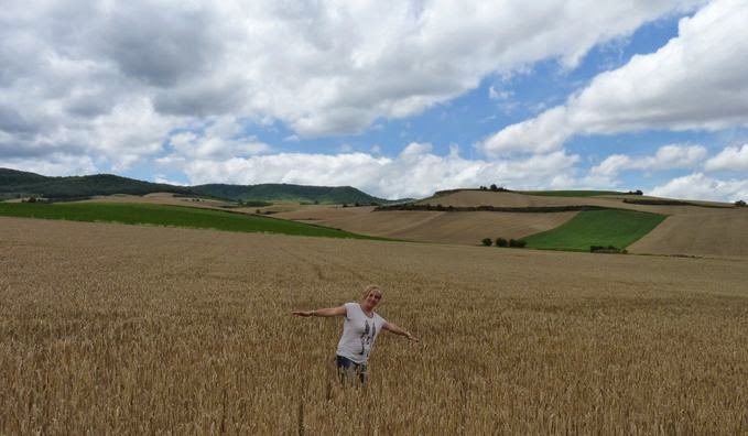 Campos de cereales de La Rioja. Campos de cereales de La Rioja.