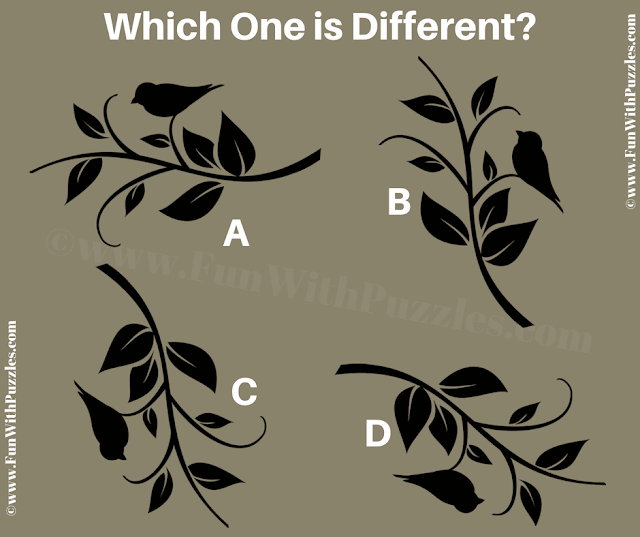 Which one is Different? | Odd One Out Picture Puzzle