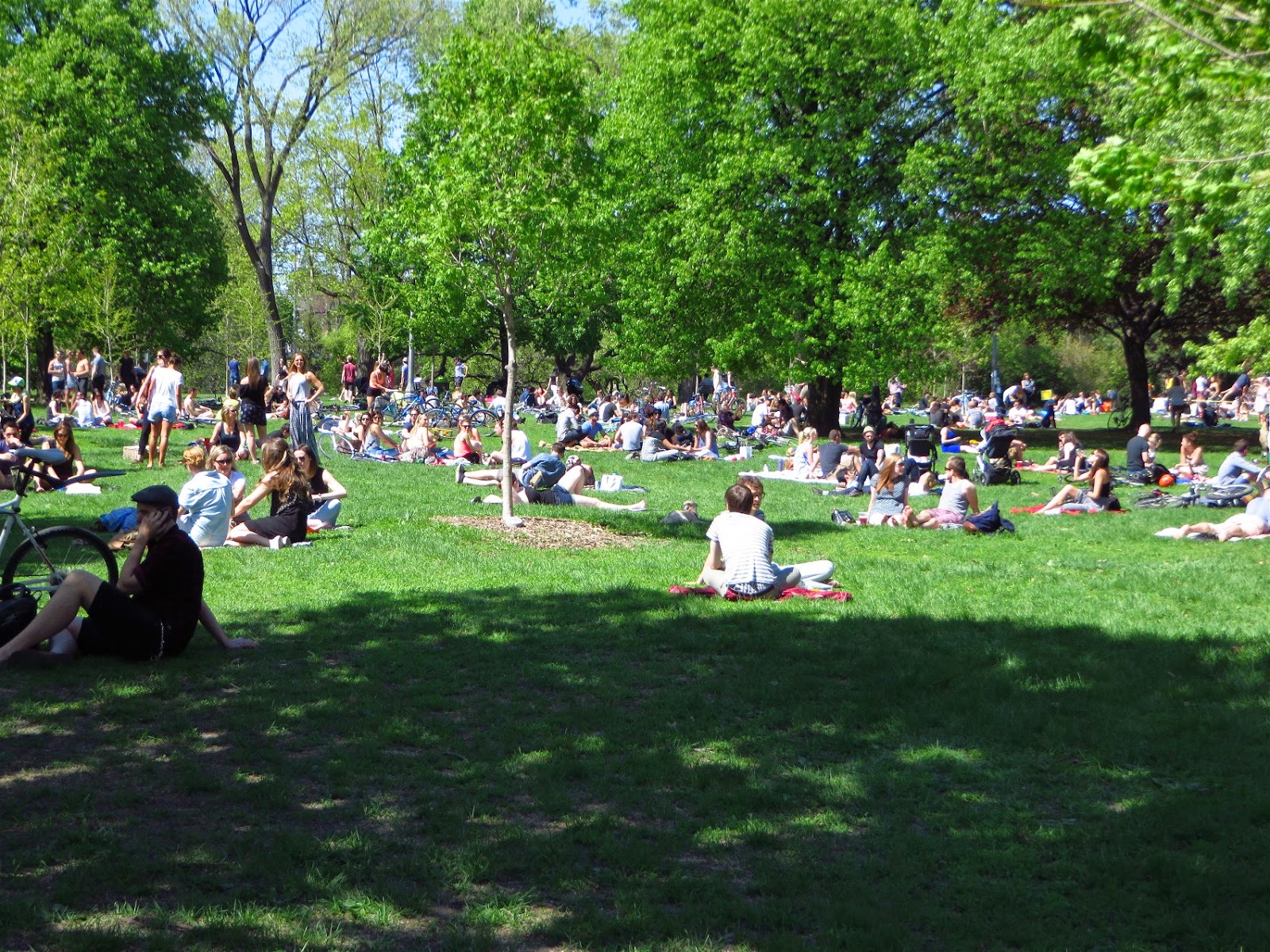 The World of Gord: A Fabulous Afternoon in Trinity Bellwoods Park