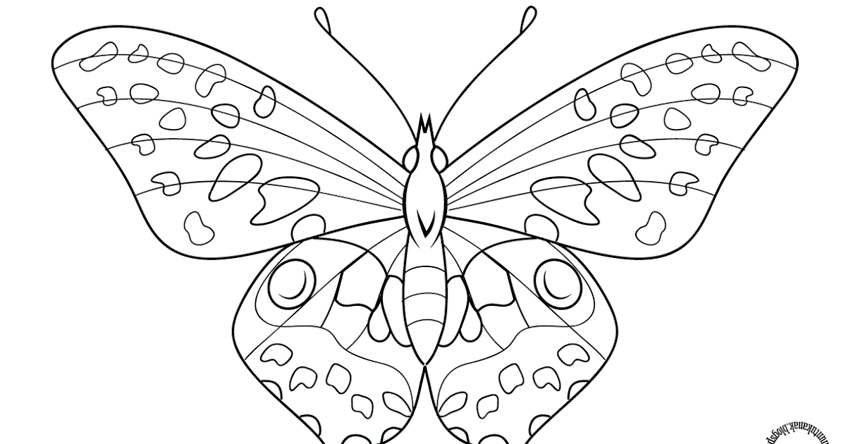 Gambar Mewarnai Kupu-kupu Untuk Anak | Gambar Mewarnai Untuk Anak
