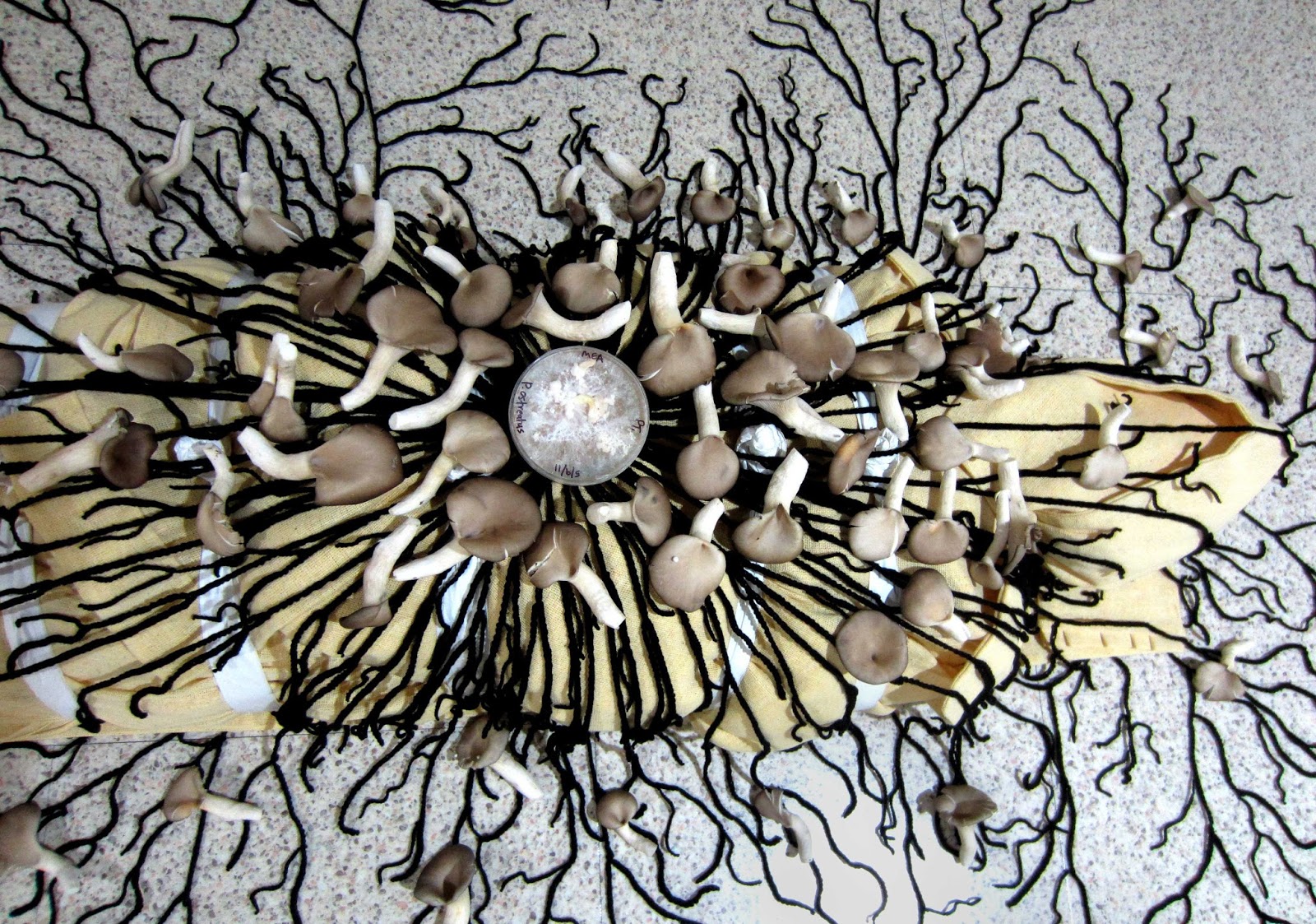 VIRALOPTIC Mushroom burial suit...