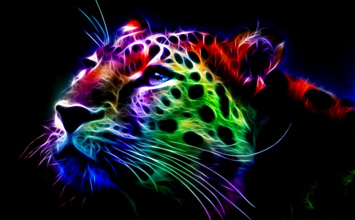 fractal leopard cool desktop