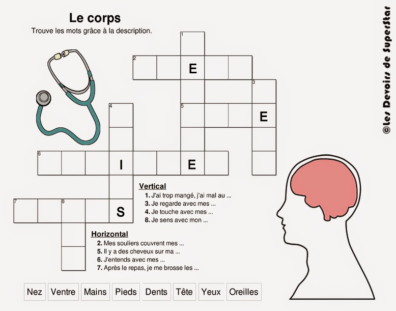 Les Devoirs de SuperStar: Mots Croisés - Vocabulaire