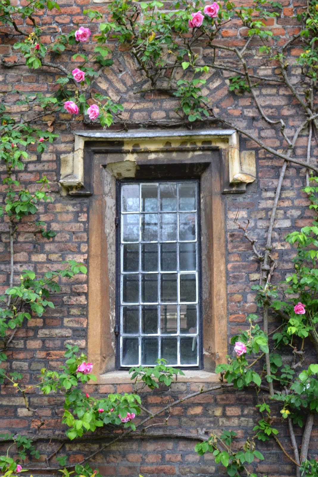 Tea with LaVera Beautiful Windows in Cambridge England and a Couple of